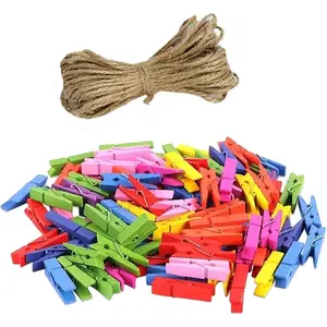 100 count Sturdy Colored Wooden Mini Small  clothespins for Dry Laundry  Clothesline, Bag Clips, Crafts, Photos, , School, Arts Crafts Deco