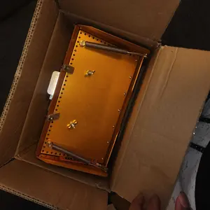 VEVOR Drywall Flat Box, 10-Inch Wide Quick Clean, Aluminum Finishing Mud Box for Plasterboard, Wallboard, Sheetrock, Bonus Mudguard, Extra 2 Stainless Steel Blades (10/12-Inch)554