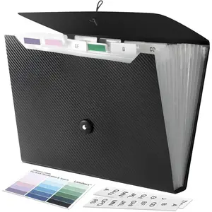 Expanding File Folder A4,13 Pockets File Organiser with Colored Tags, Paperwork A4 Plastic Wallet Document Storage Expander for School,Office and, Black