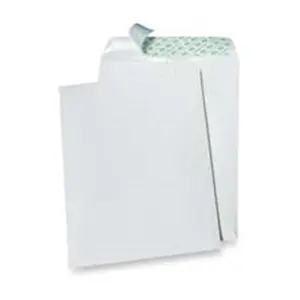 Quality Park Products QUA77397 Tech-No-Tear Envelope- Paper Side Out- 10in.x13in.- White
