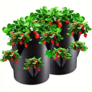 Strawberry Planting Bags 2 Pack 10 Gallon with Window and Handle, Indoor Outdoor Plant Containers for Strawberries, Tomatoes, Potatoes, Grow Bags