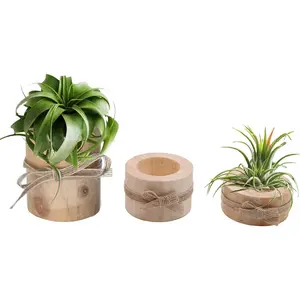 Newwe Wooden Air  Holder Pack of 3 Wooden Air  Holders Air  Terrarium Tillandsia Streptophylla Xerographica Holders Succulent Pot  light Holder, brown