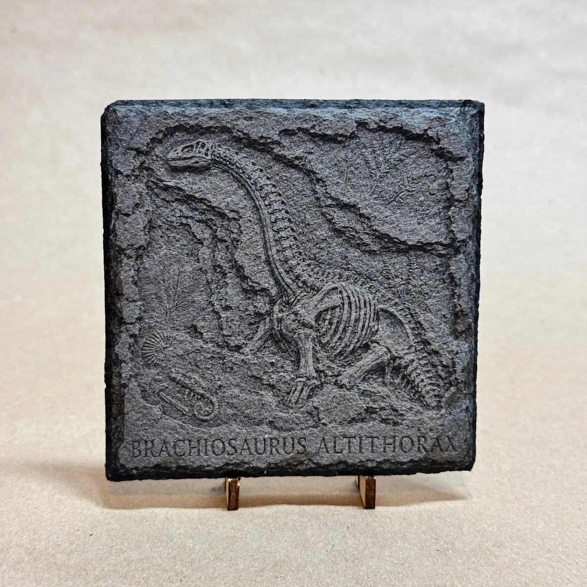 Brachiosaurus Fossil Slate Coaster - Laser Engraved Dinosaur Dig, Natural Hand-Cut Stone, Gift for Dinosaur & Fossil Lovers