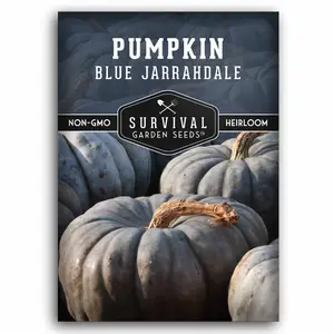 Blue Jarrahdale Pumpkin Seeds