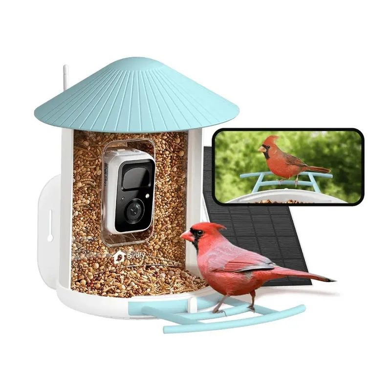 Birdfy Smart Bird Feeder Camera with solar