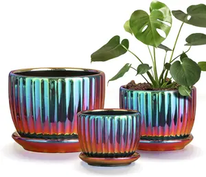 Flower Pots, Purple Ceramic  Pots Set of 3,Small Glazed Succulent Pots with Drainage Hole,Cactus Planter with Saucer,Outdoor Garden Pots (Colorful )