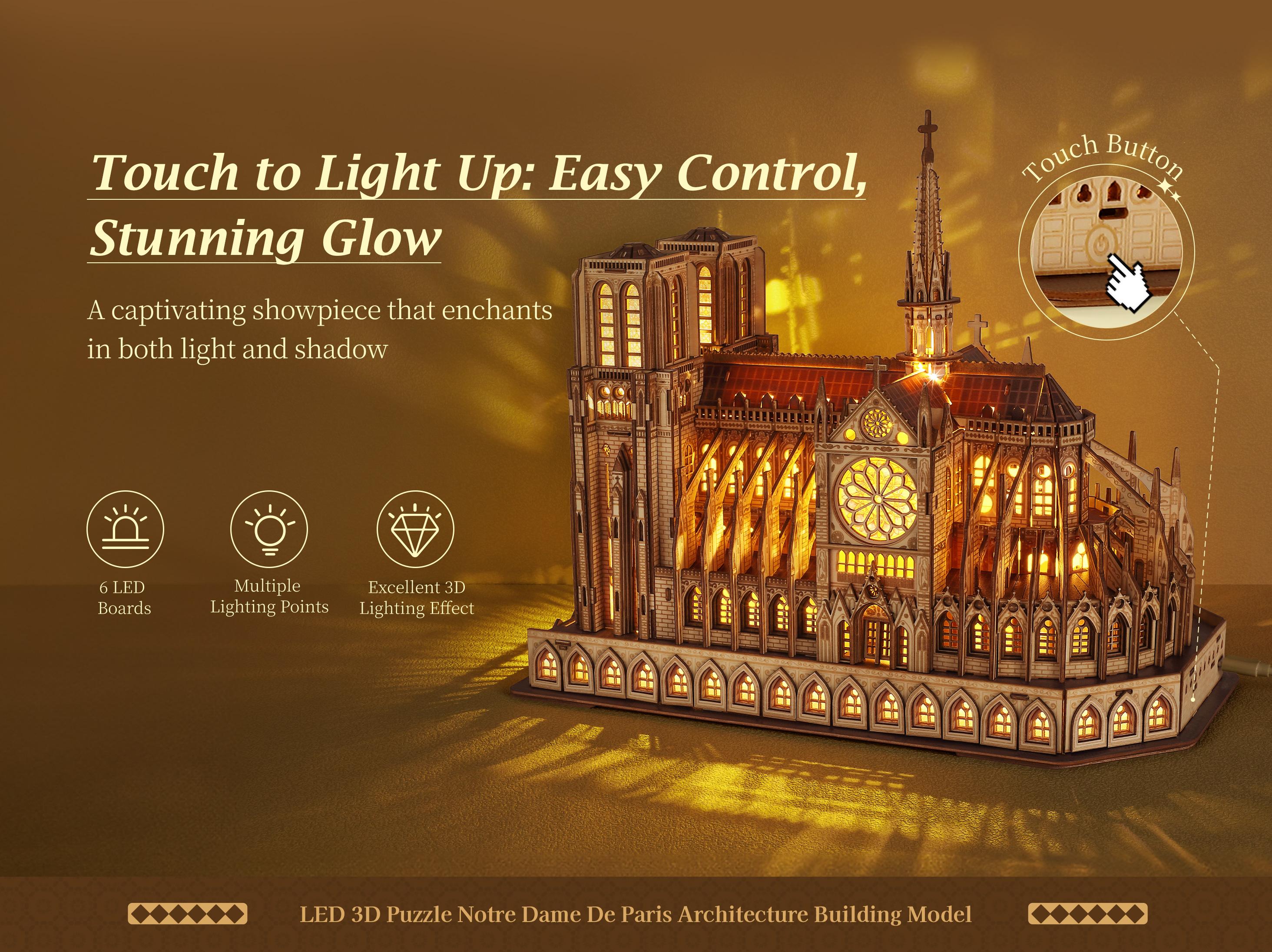 Notre Dame puzzle LED lighting