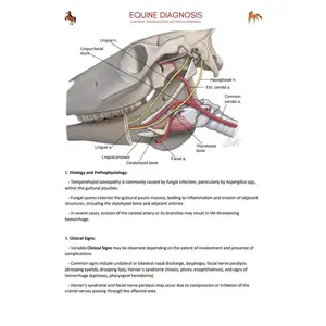 Equine Diagnosis for NAVLE - Equine Diagnosis ICVA with 3 NAVLE styled questions of each topic for Navle prep -600 Pages - Navle Study Guide