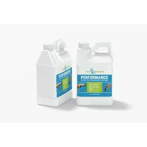 Ultimate C60 Equine Boost: Health & Performance Supplement for Horses