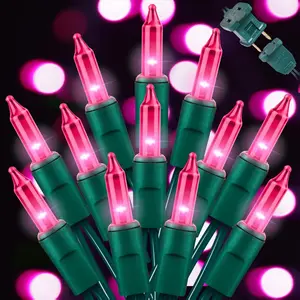 LAMPHOME 2-Pack Pink Christmas & Valentine's String Lights - 100 Mini Incandescent Fairy Lights Each, 20 Ft Green Wire for Indoor/Outdoor Party, Patio, Bedroom, Xmas Tree & Holiday Decor