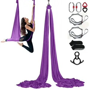 Aerial Silk And Yoga Swing Kit, 8.7 Yards Nylon Fabric, Aerial Yoga Hammock With Full Rigging Hardware, Easy Setup Guide, Antigravity Flying For All Levels Fitness, Home Gym, Indoor Training, Durable 100gsm Nylon, Purple
