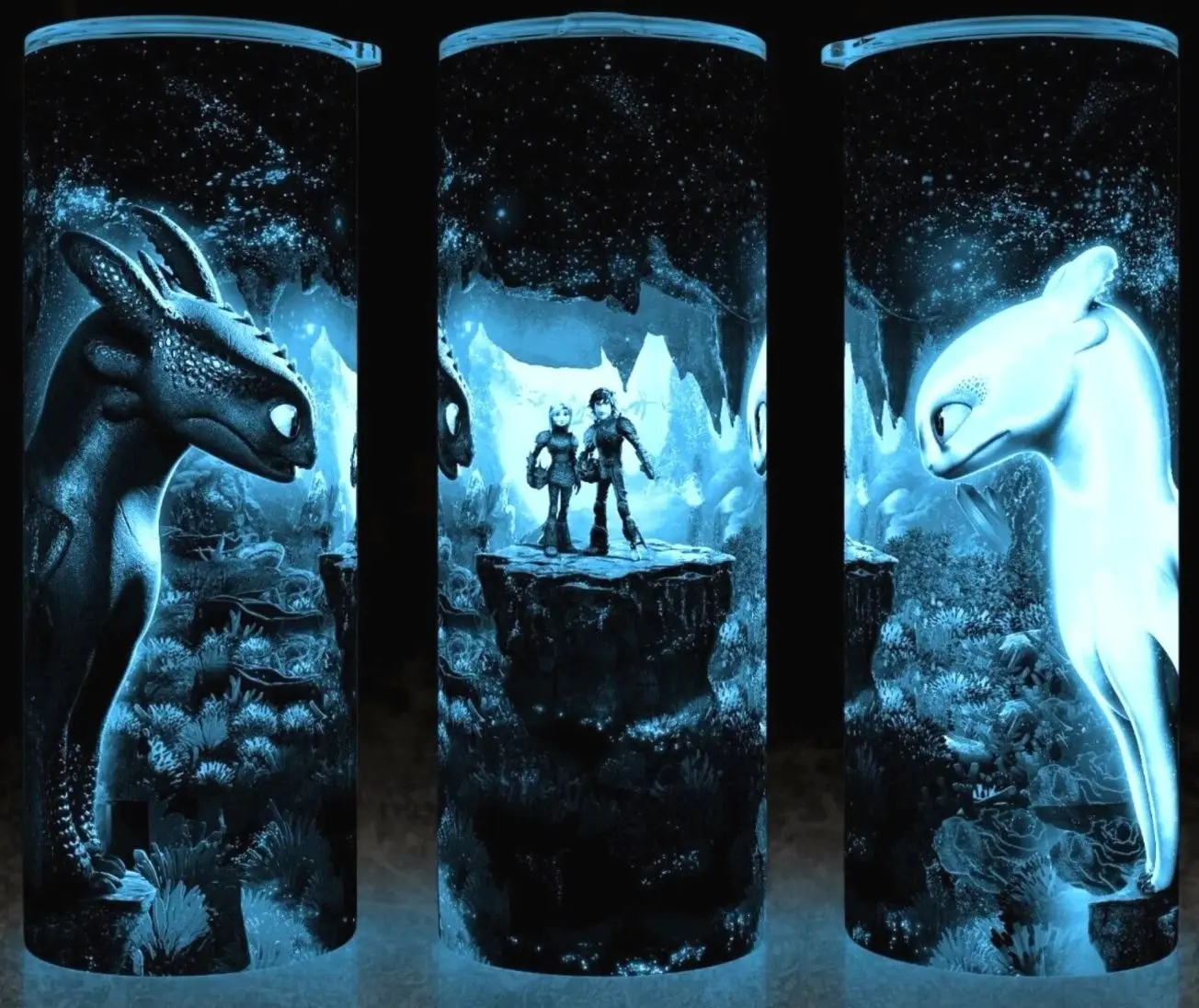Glow in the Dark How to Train Your Dragon Night Fury and Light Fury Movie Cup Mug Tumbler 20oz with Lid and Straw - Elegant Drinkware for Movie Fans - Stainless Steel Plastic Reusable