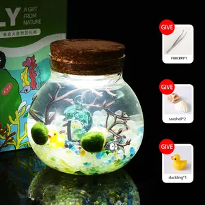Dubhe - Cute Big Dipper Bottle Ecosystem, Marimo Moss Ball Micro-Landscape, Self-Sustaining Crystal Garden & Mini Aquatic Habitat for Desk (Includes 2 Live Marimo Pets)