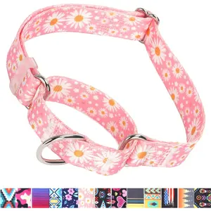 Martingale Collar for Dogs, No-Slip Escape Proof Choke No Pull Cinch Soft Nylon Dog Training Collars Adjustable for Small Medium Large Breed Pet Dogs, Pink Daisy M