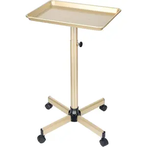 Salon Tray on Wheels, Champagne  Salon Tray Cart with Adjustable Height, Hair Stylist Tray, Metal  Tray, Suitable for  and  Tray