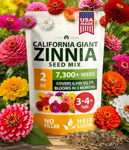 2026 Home-Grown Zinnia Seeds – California Giant Mixed Variety – 7,300+ Seeds, suitable for indoor, outdoor, garden, and balcony planting.