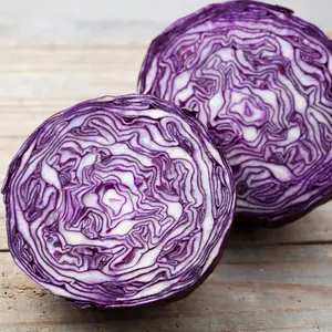Mammoth Red Rock Cabbage Seeds Organic (Brassica oleracea var. capitata) – Vibrant purple heads – Perfect for salads, cooking, and fermenting.