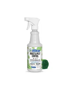 Mighty Mint 16 oz Peppermint Oil Insect & Pest Spray - for Spiders, Ants, and More