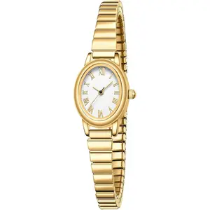 Small  Watches for Women,Analog Womens Watch with Stainless Steel Expansion Band,Oval Case Roman Dial,Water Resistant