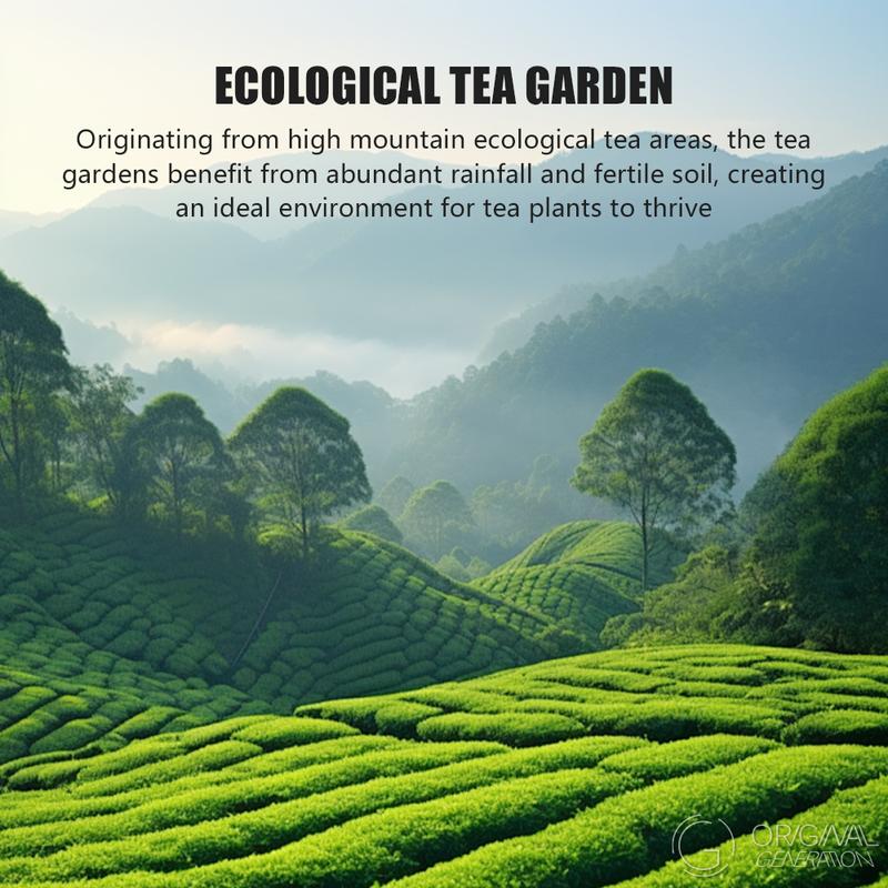 Cold Brew Gold Oolong Tea 40g(4g×10packs) Low Caffeine Release