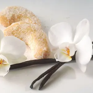 French Vanilla - Candle Fragrance Oil