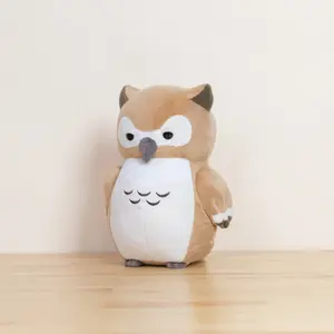 Owli the Barn Owl