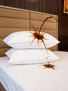 Luxury Waterproof Pillow Protector – Ultra-Soft Terry Surface, 100% Noiseless, Hypoallergenic, Bed Bug & Dust Mite Barrier, Zippered Closure, Breathable Cover, Hotel Quality, Standard/Queen/King Sizes, Premium Retail Packaging for Elegant Bedding