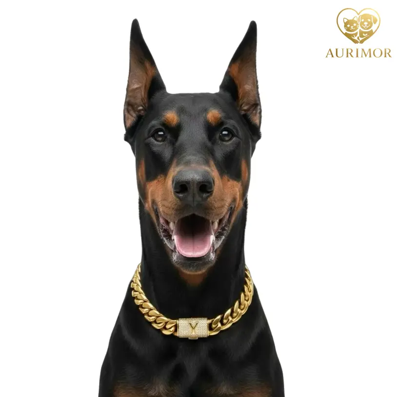 dog chains necklace pitbull - TikTok Shop