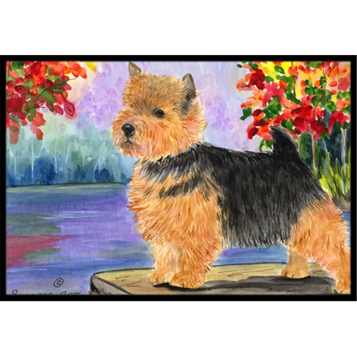 CAROLINE'S TREASURES 212 MAIN 18x27 in. Norwich Terrier Animal Rugs, Indoor-Outdoor Decorative Area Mat