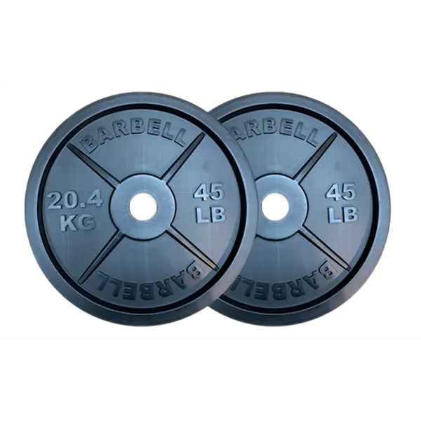 Fake Weights Commercial Grade - 45 LB Barbell Weight Plates Pair