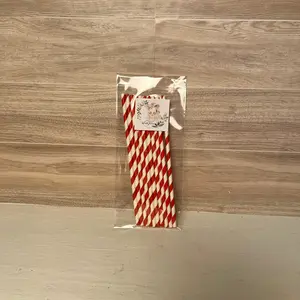 Paper Straws (10 pack) Red and white