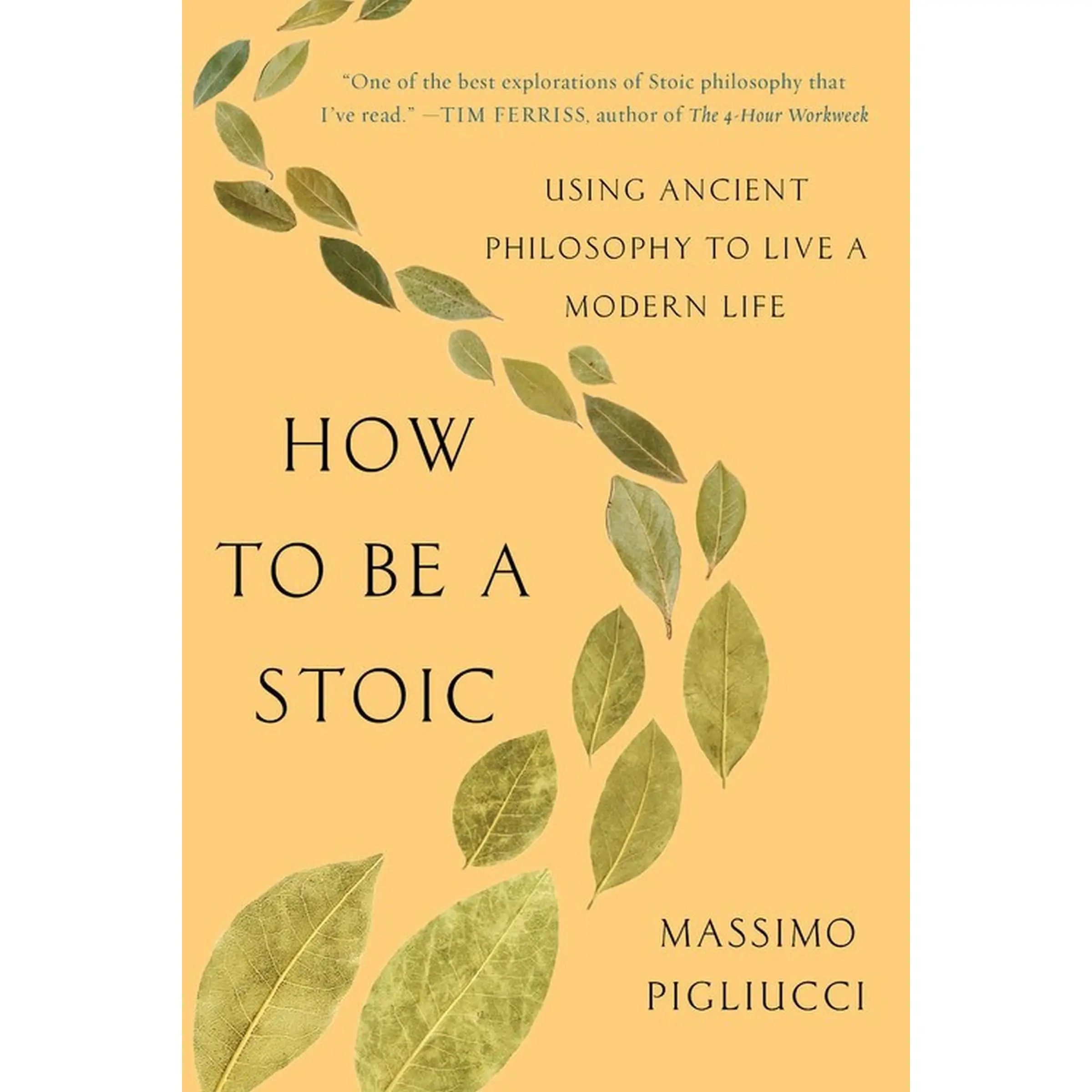 How to Be a Stoic: Using Ancient Philosophy to Live a Modern Life -- Massimo Pigliucci - Paperback