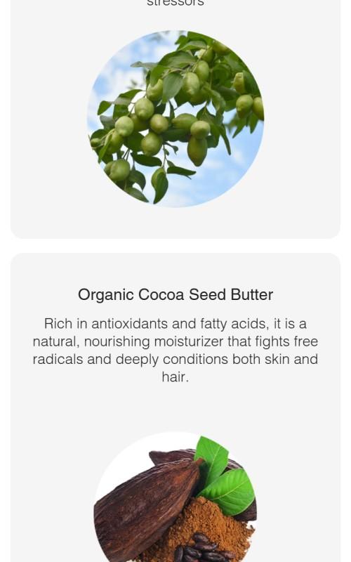 Tinted Daily Lip Balm - Nourishing Formula for Skincare & Comfort