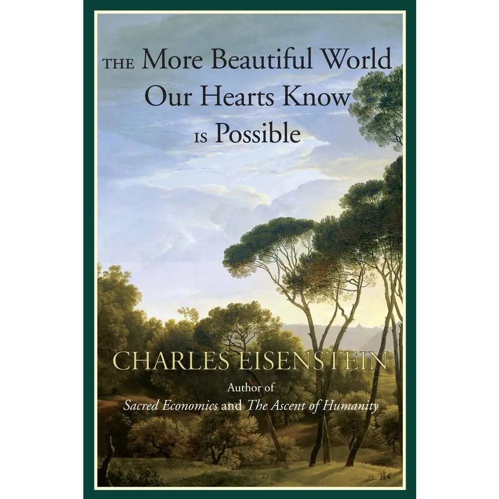 Used Inspirational Literature Book - The More Beautiful World Our Hearts Know Is Possible by Charles Eisenstein (Soft Cover, English, Published 2013, As Seen on Oprah's Super Soul Sunday)