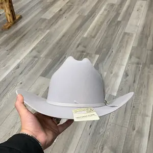 Tejana 20X Morcon Horma Sinaloa Platinum Grey