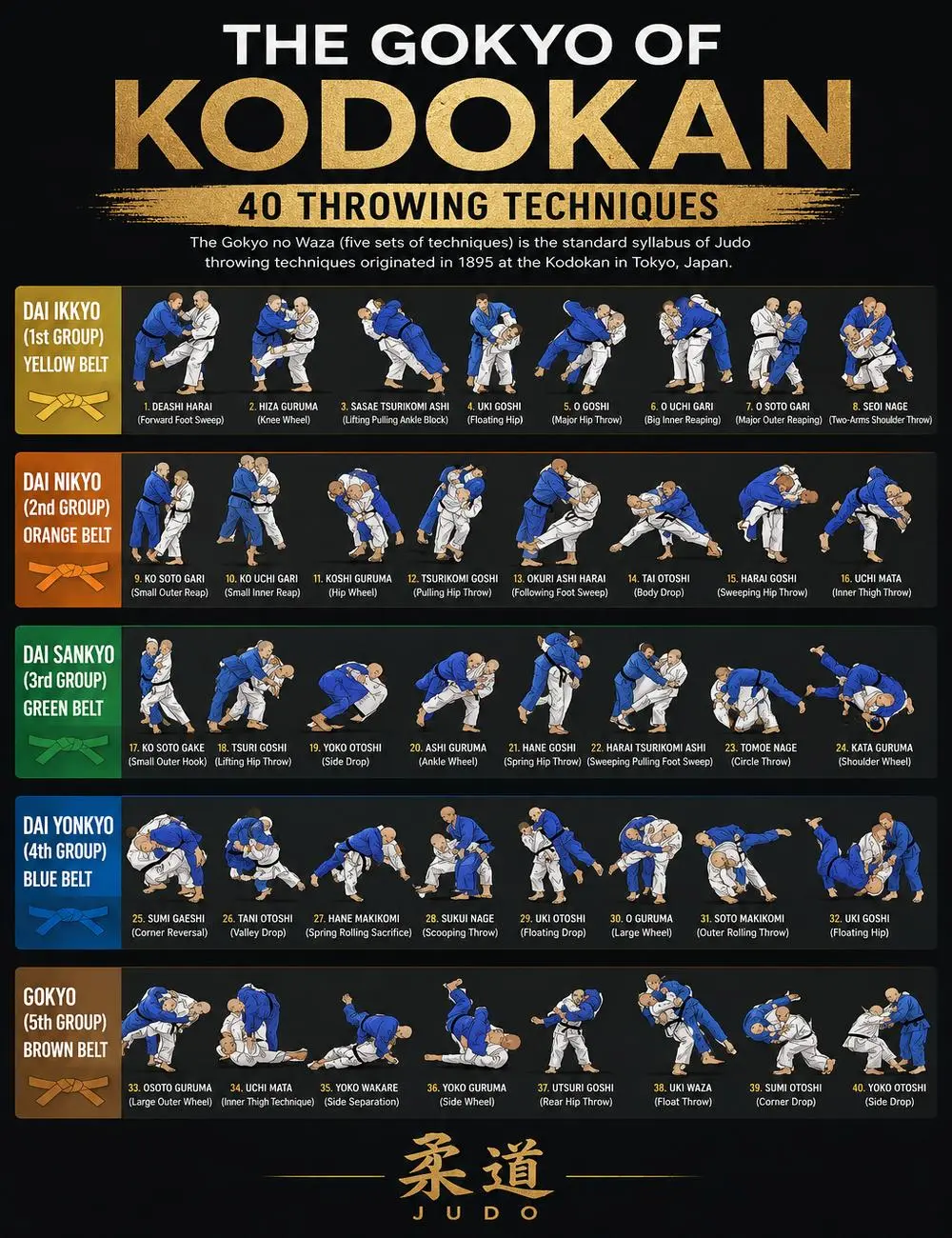Kodokan Judo Gokyo Poster 40 Throwing Techniques Wall Art, Judo Training Chart, Martial Arts Technique Guide, Dojo Decor, Judo Belt Progression, Sensei Gift, Combat Sports Educational Poster, Gym Wall Decor, Judo Reference Print, Budo Artwork