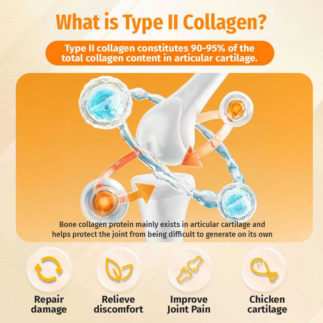 Cassiel Pet, Pet Nutrition Gel, Daily Wellness, Shiny Coat & Energy, Supports Digestive Health, Essential for Dogs, Electrolytes Gel for Beach Camping Hiking, Peanut Butter Flavor, Dog Lover, Pet Nutrition