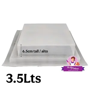 Plain Rectangle Jello Mold / Rectangular Plano Molde Gelatina