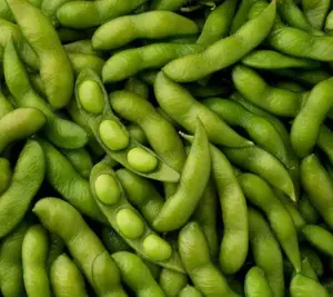 20 BeSweet Edamame Soy Bean Seeds for Planting, Non-GMO, Vegetable Easy to Grow