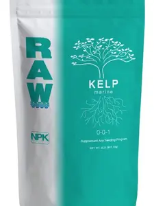 RAW Kelp | 99% Ascophyllum Nodosum Extract | Water-Soluble Organic Biostimulant to aid in nutrient uptake