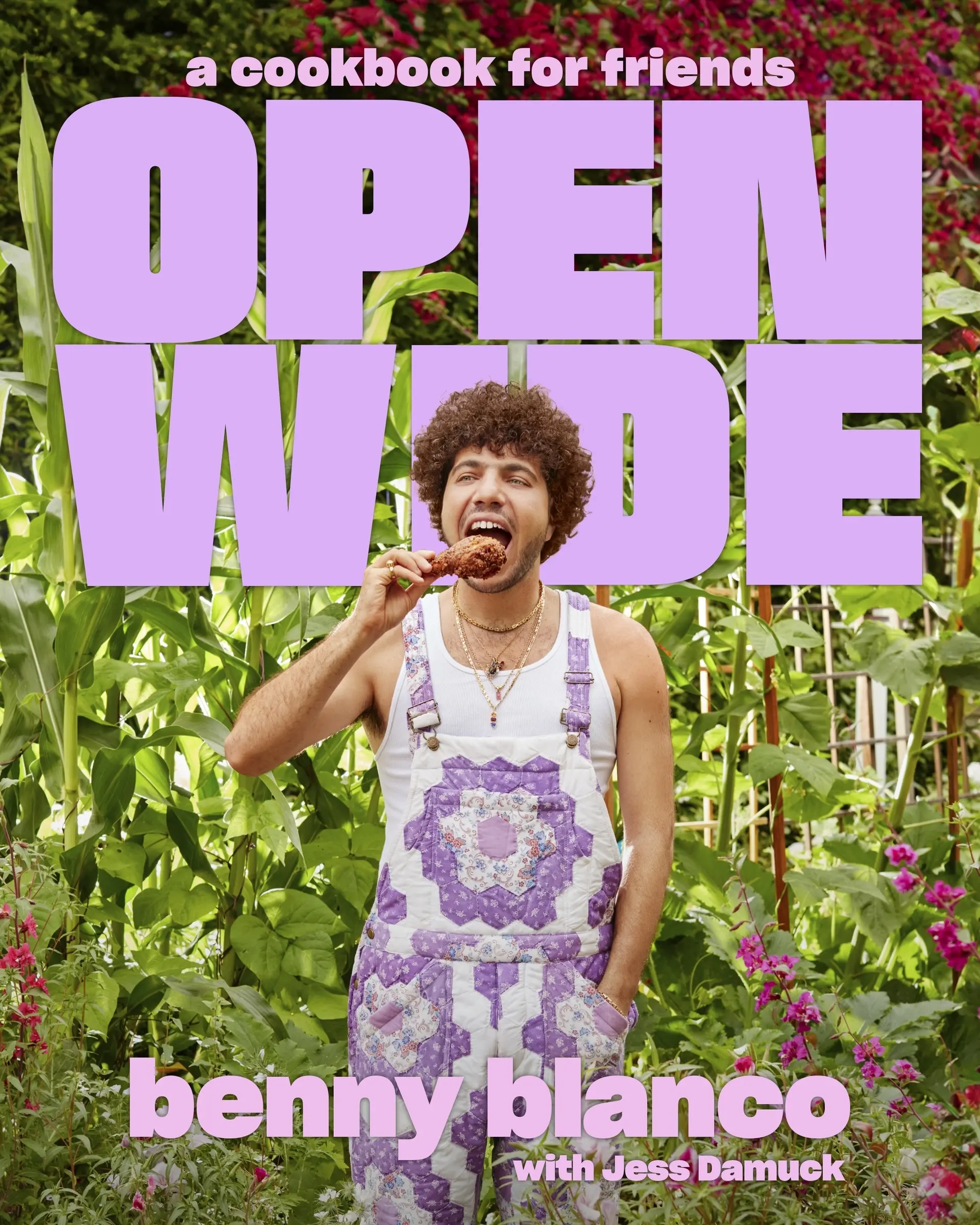 Open Wide: A Cookbook for Friends by benny blanco||Jess Damuck [Hardback Book]
