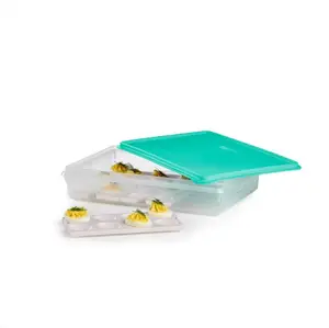 Tupperware Snack-Stor Large Storage Container with 3 Egg Tray Inserts