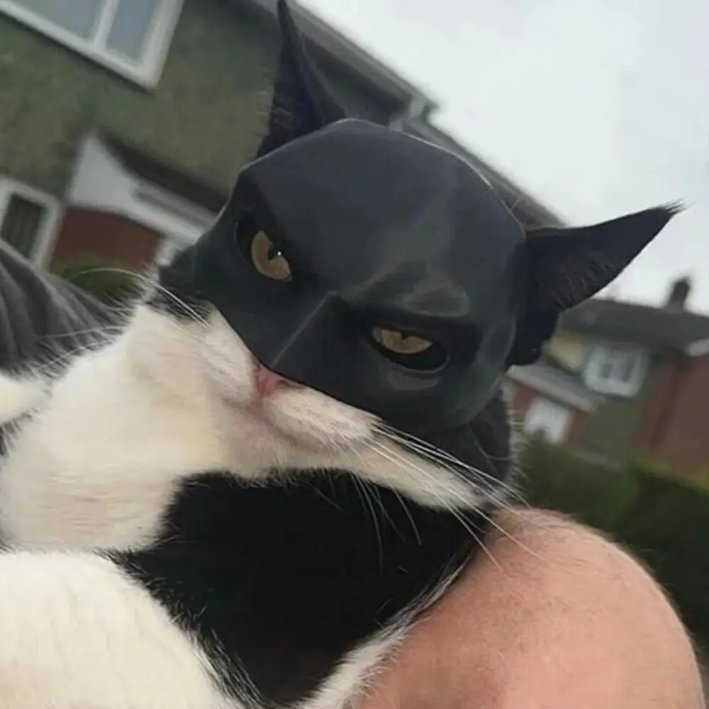 Funny Bat Mask Cat Costume, 3D Printed Pet Hat for Halloween Photos