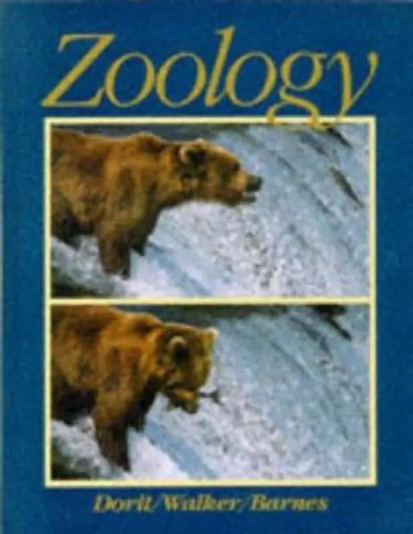 USED-Zoology by Robert Dorit (Hardcover)