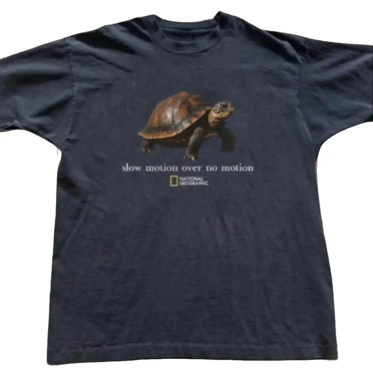 Gildan Men's and Women's T-shirt, National Geographic turtle graphic tee, " slow motion over no motion ", Animal tee, Y2k Unisex Graphic Tees Gothic Grunge Emo Scene Amity Affliction Style Clothes Menswear Womenswear Streetwear