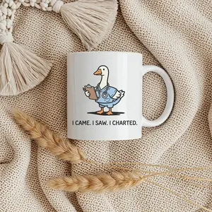 Goose Nurse Mug, Funny Nursing School Coffee Mugs, Nursing Grad Gifts, Gift for Nurses, RN Meme, Doctor Goose