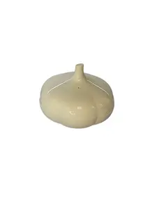 Garlic Design Food Storage in Pearl Color - Elegant Kitchen Container