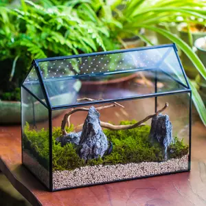 NCYP House Shape Glass Terrarium with Acrylic Lid - 10.2x5.9x8.2 Inches for Snails, Ferns, Succulents, Air Plants(Terrarium Only)