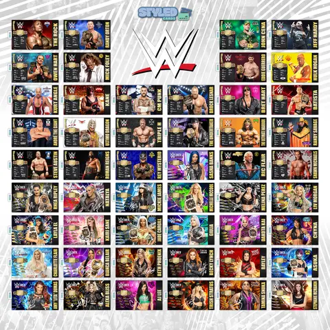 WWE rectangle vinyl stickers made with high quality vinyl