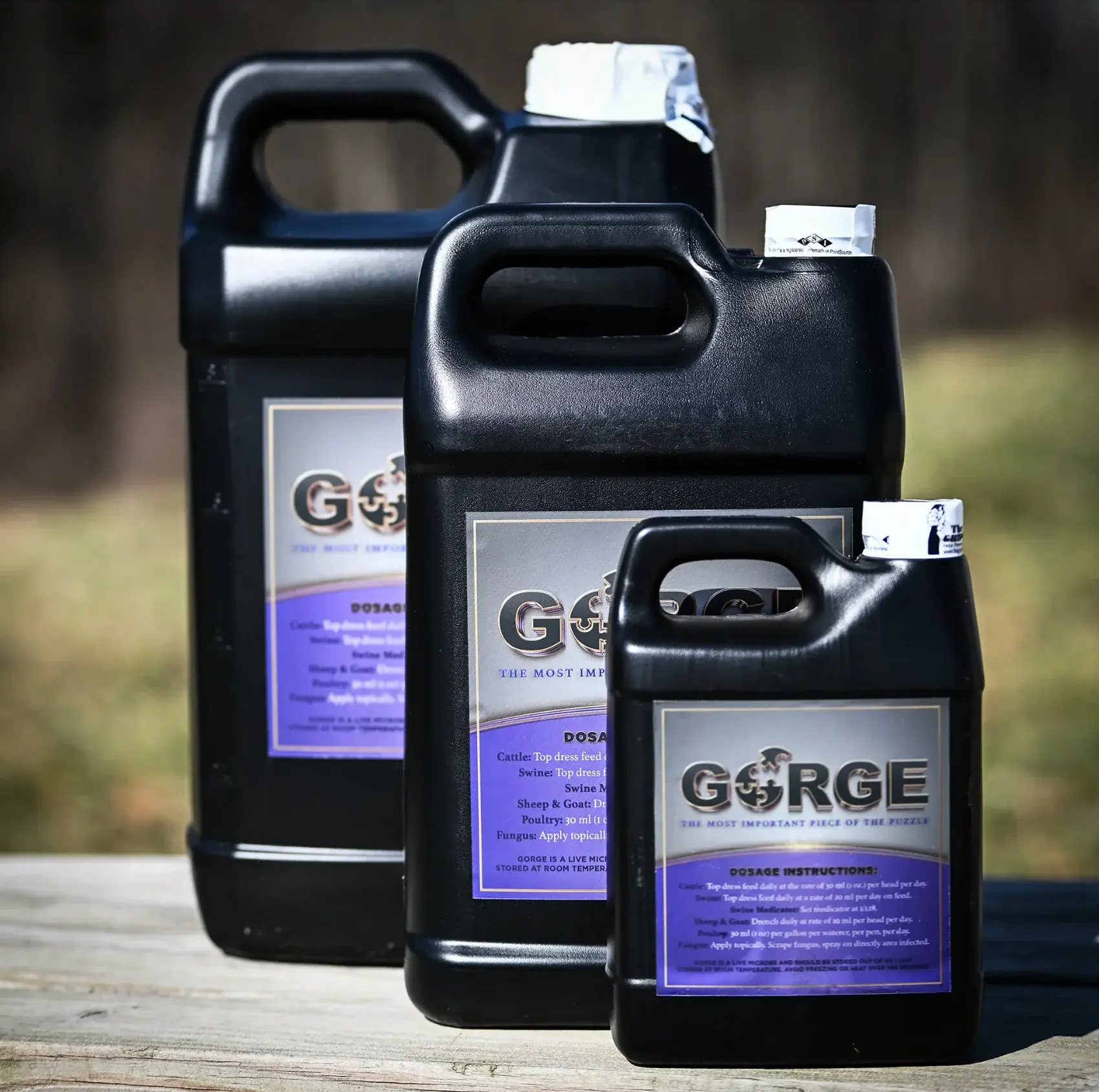Gorge